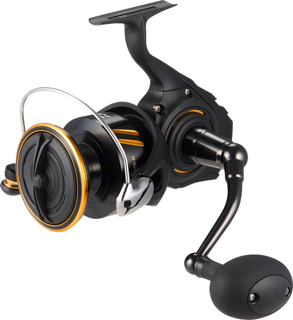 Daiwa '26 BG (SW & LT)