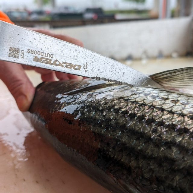Dexter Outdoors Dextreme Fillet Knife