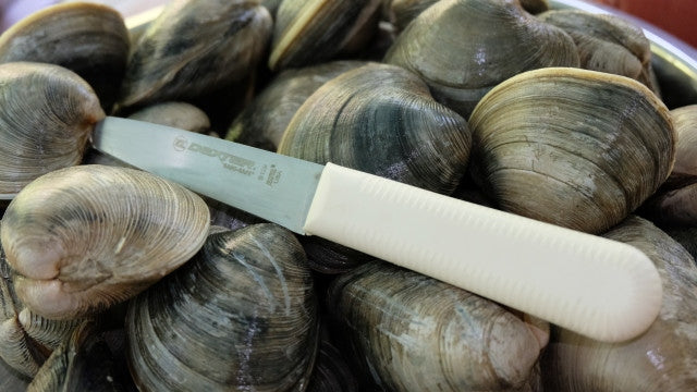 Dexter Outdoors S129 3 3/8 inch Sani-Safe® Clam Knife
