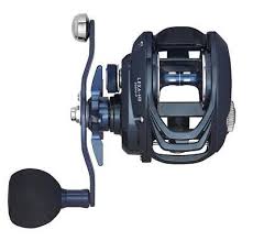 Daiwa Lexa HD 300 Baitcasting Reel
