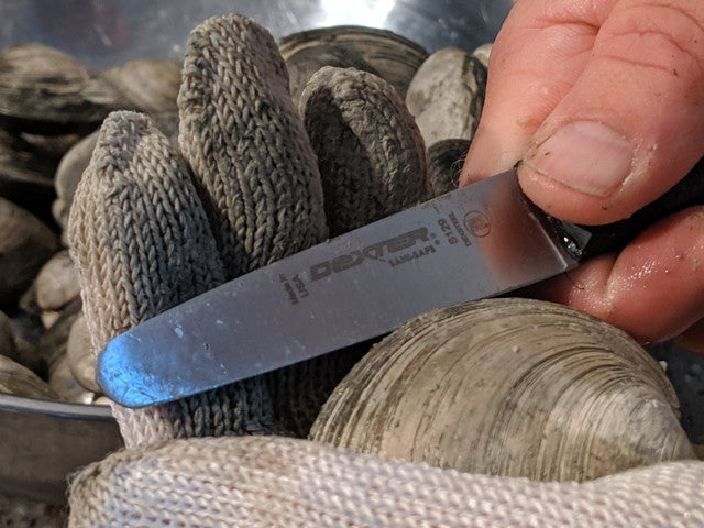 Dexter Outdoors S129 3 3/8 inch Sani-Safe® Clam Knife
