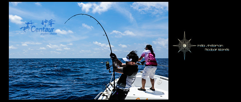 Centaur Combat Arm Inshore Game Popping Rod