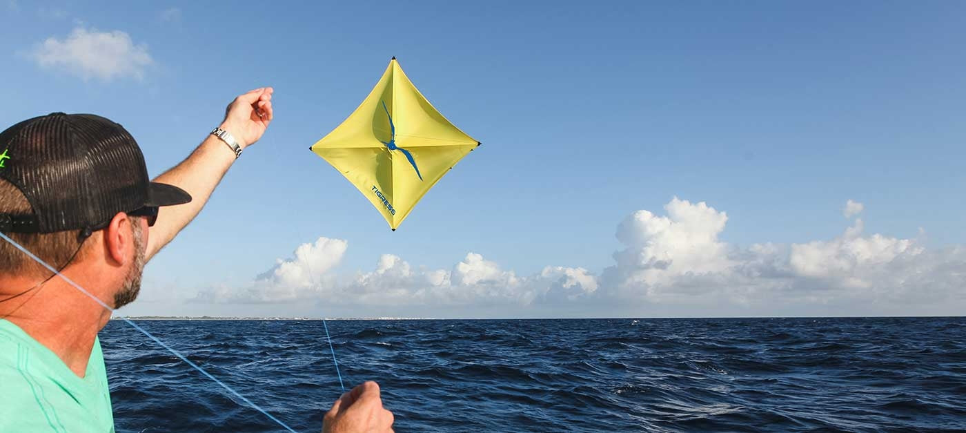 Tigress All Purpose Kite