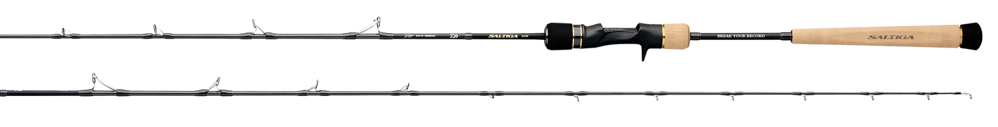 DAIWA 2025 SALTIGA SLOW PITCH JIGGING