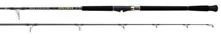 Daiwa '25 Saltiga G Jigging Rods