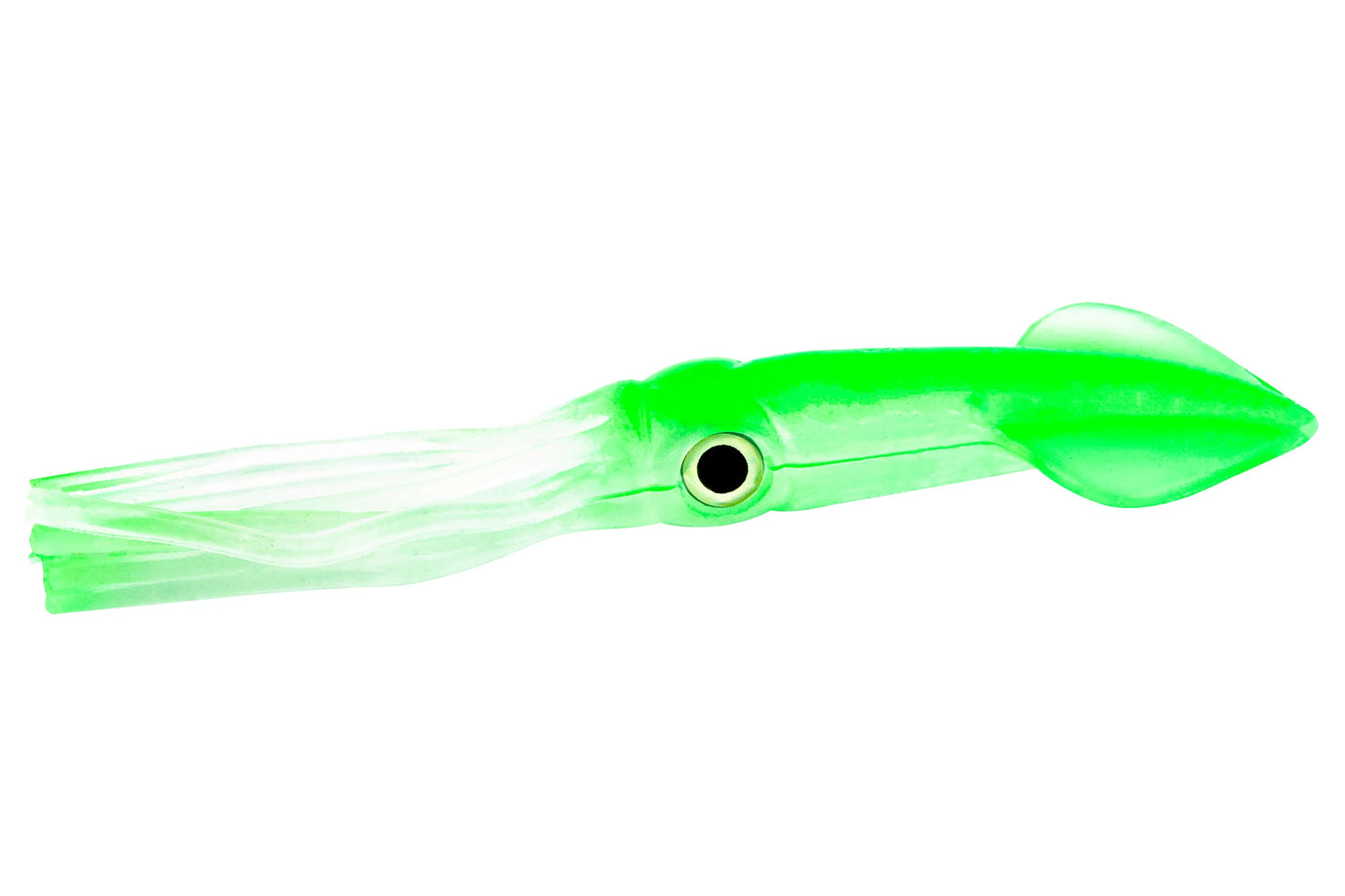 Tsunami Holographic Squids