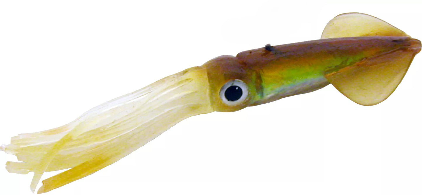 Tsunami Holographic Squids