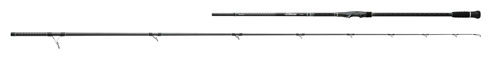 Daiwa Blackline Surf Rod