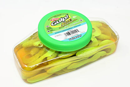 Berkley Saltwater Gulp! Alive! Pints