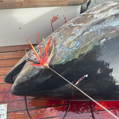Wolfpack Tungsten Ahi Head